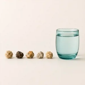 the five kidney stone types compared